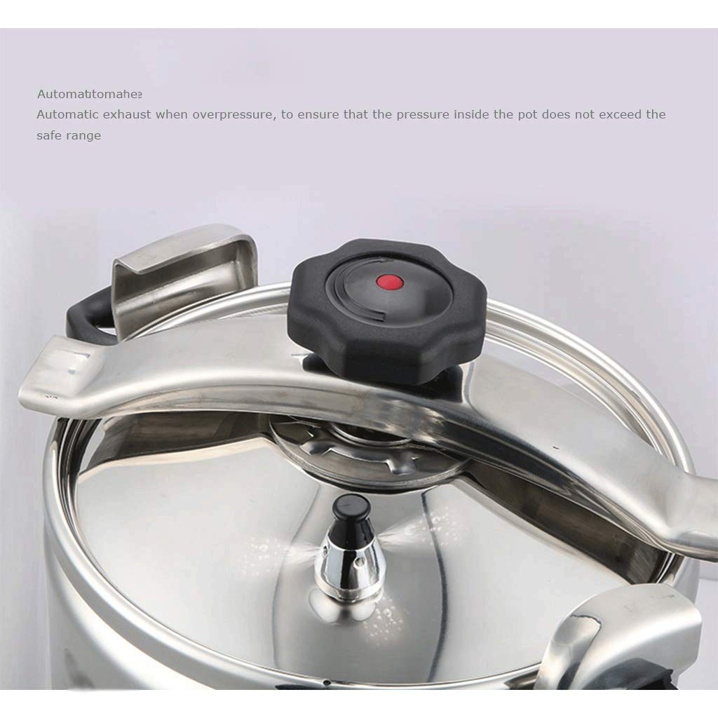 Stainless Steel 3L Electric Pressure Cooker C36460