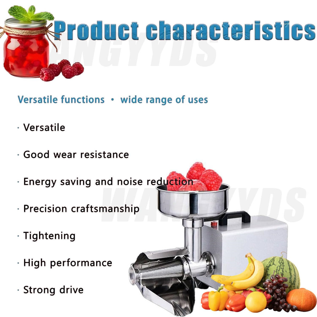 450W Stainless Steel Tomato Strainer H569